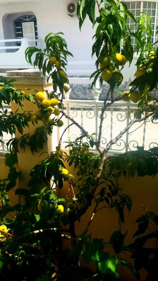 Casa Em - Setubal * Palmela